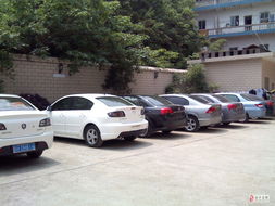 新起点汽车租赁 智能科技驱动的未来出行服务